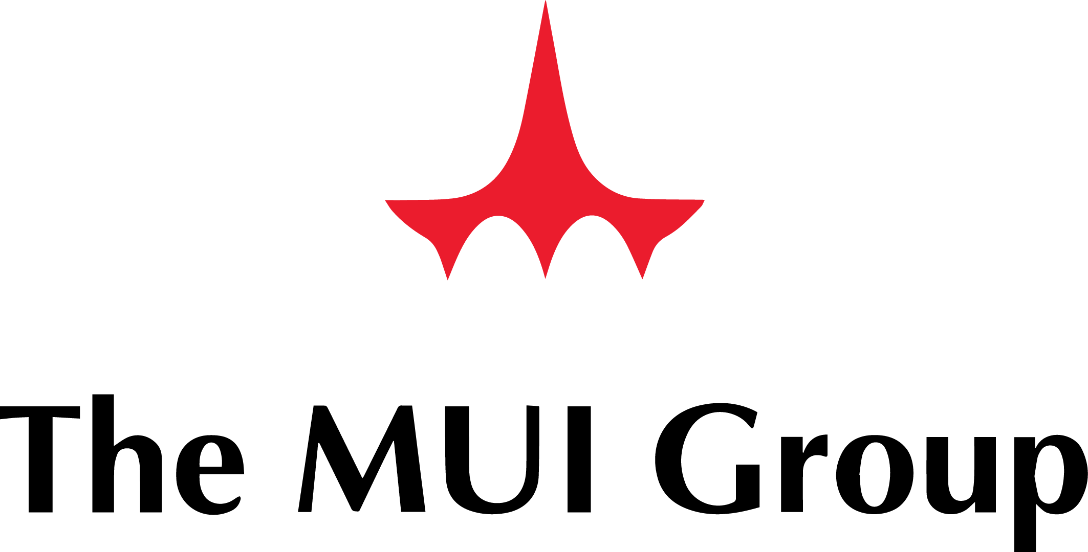 THE MUI GROUP